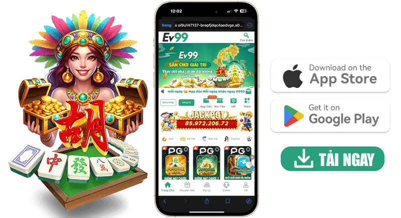 Giấy phép hoạt động n666